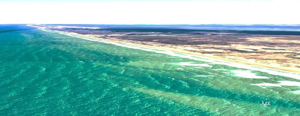 South Padre Stayz South Padre Island Buitenkant foto