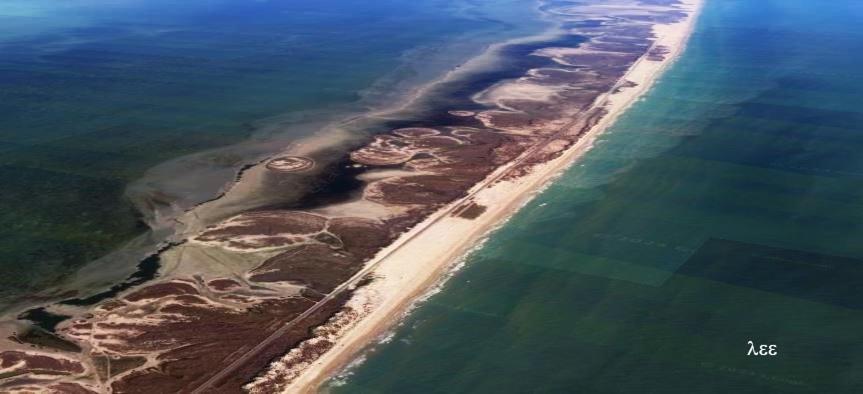 South Padre Stayz South Padre Island Buitenkant foto