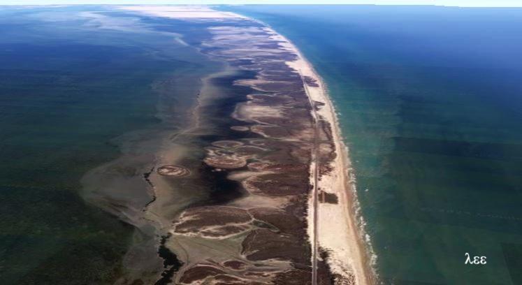 South Padre Stayz South Padre Island Buitenkant foto