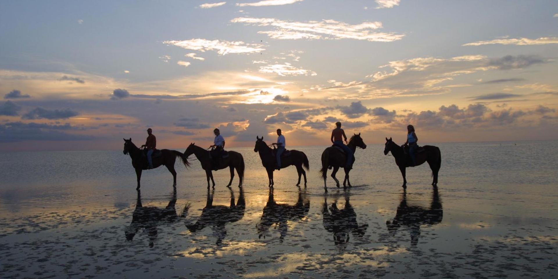 South Padre Stayz South Padre Island Buitenkant foto